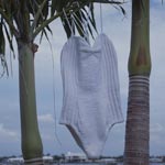 Bathing suit by Annie Modesitt